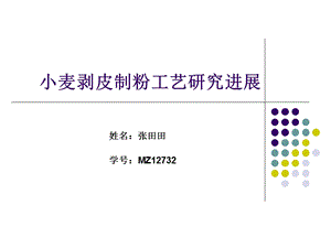 小麦剥皮制粉工艺技术进展.ppt