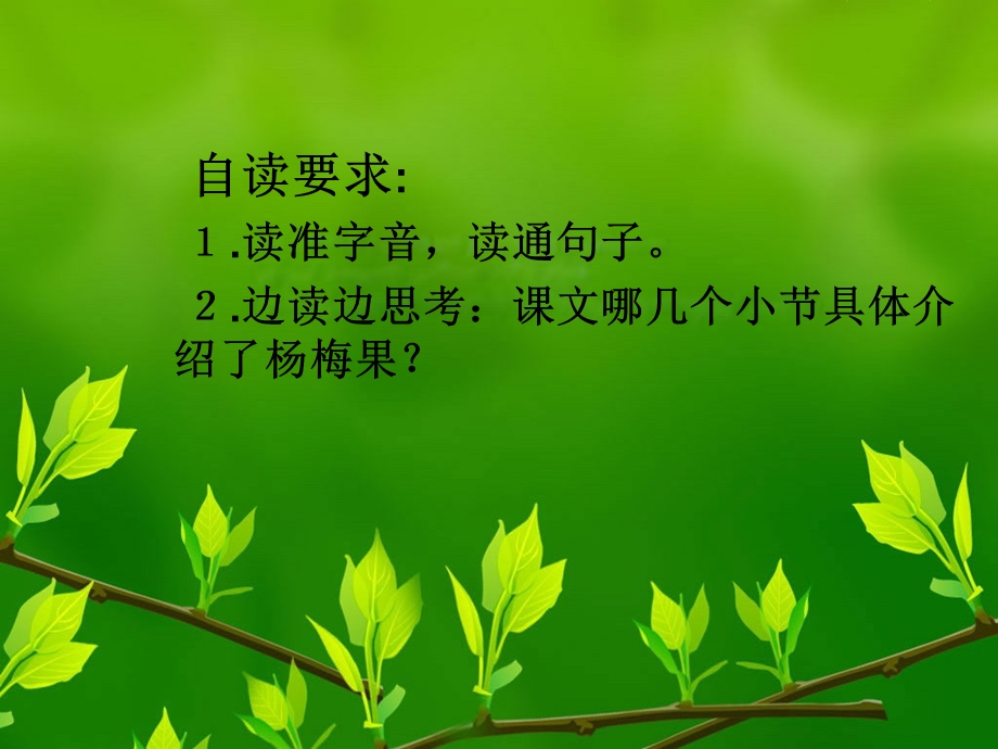 我爱故乡的杨梅.ppt_第2页