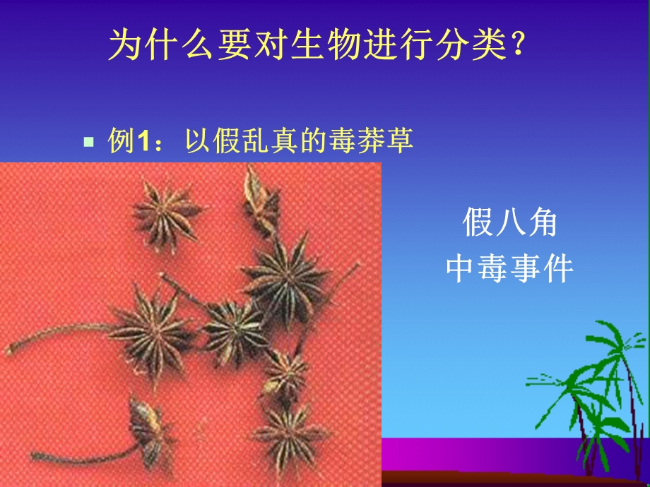 生物分类基础知识.ppt_第3页