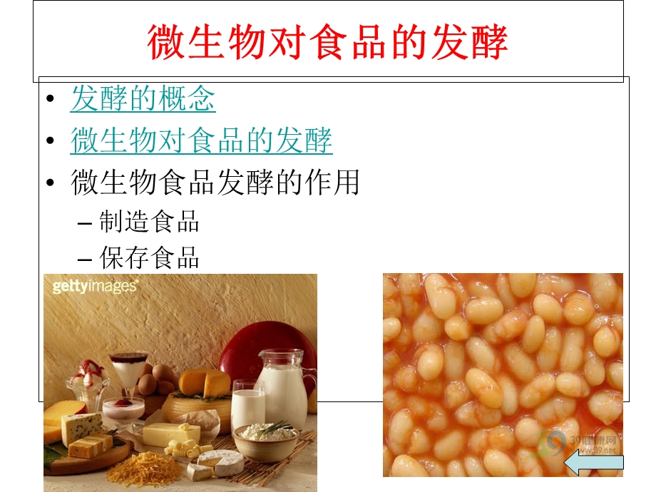 微生物与食品制造.ppt_第3页