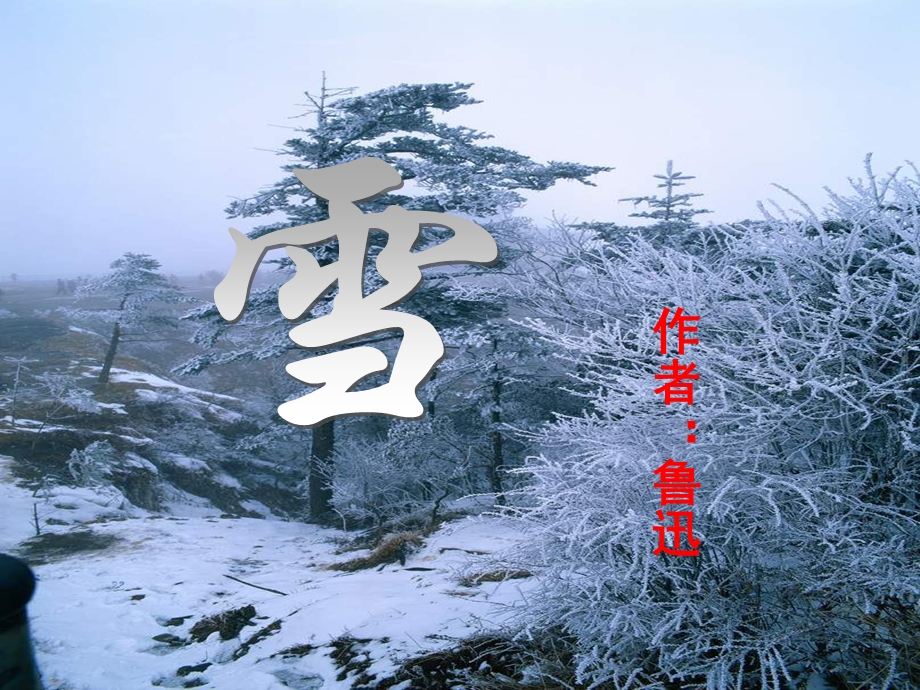 叶公中学张张冬辉雪.ppt_第1页