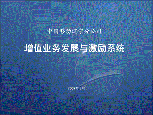 数据业务发展与激励系统.ppt