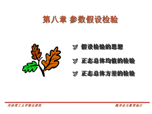 概率论与数理统计第八章.ppt