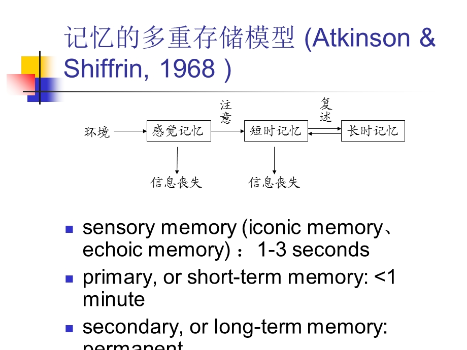 工作记忆与记忆系统.ppt_第3页