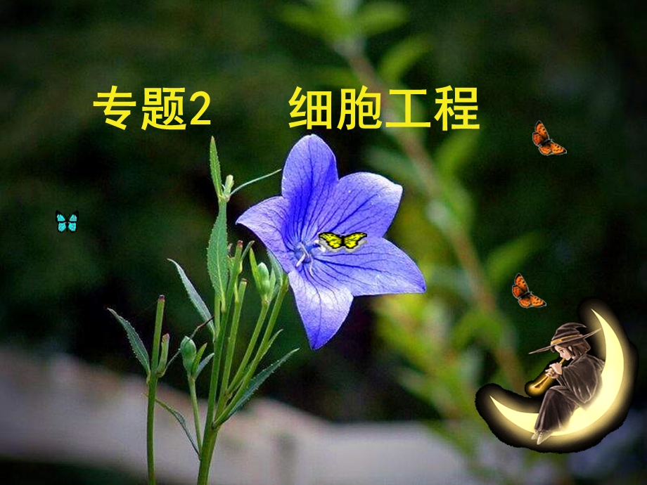 植物细胞工程的基本技术-公开.ppt_第1页