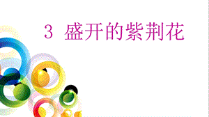 山美版小学品德与社会六年级上册《盛开的紫荆花》.ppt