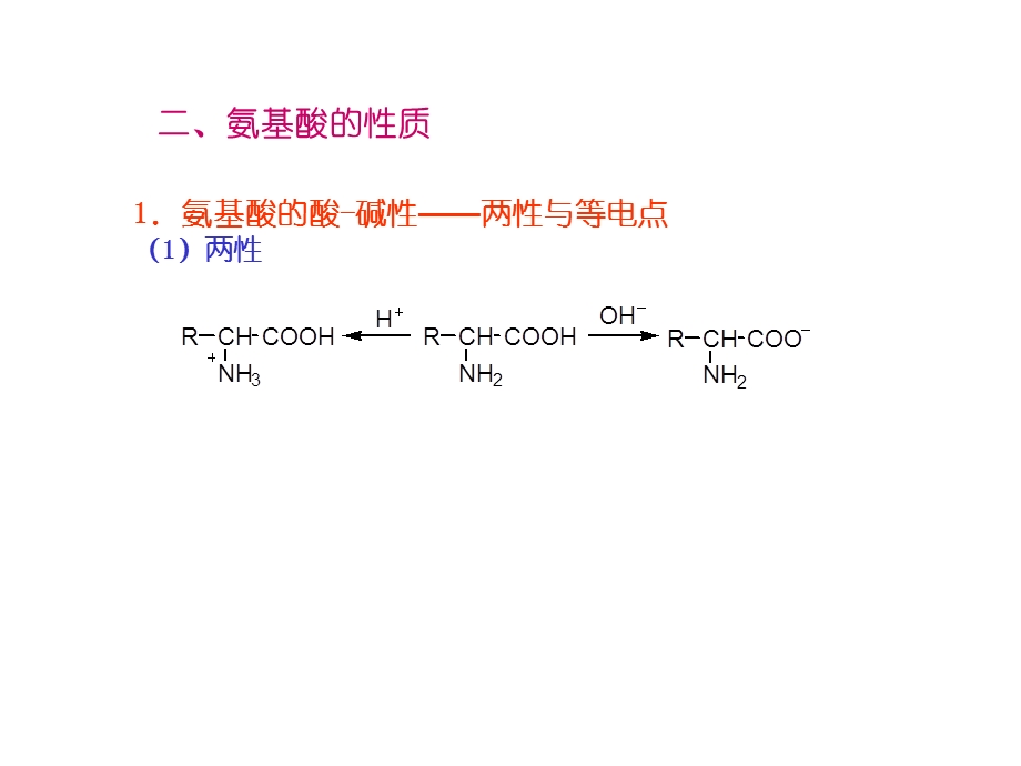 氨基酸蛋白质和核酸.ppt_第3页