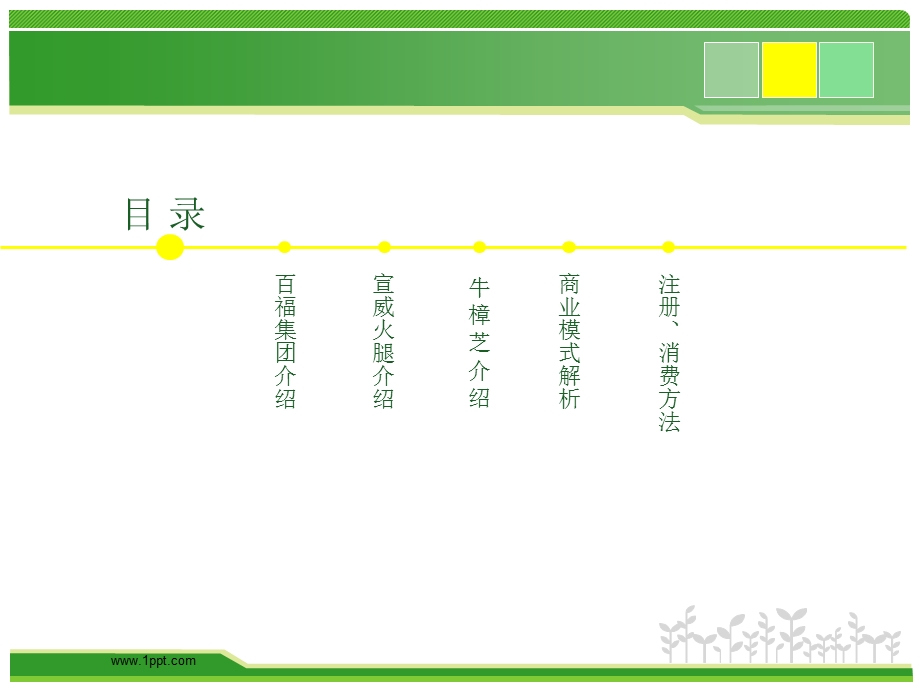 百福集团商业模式.ppt_第2页