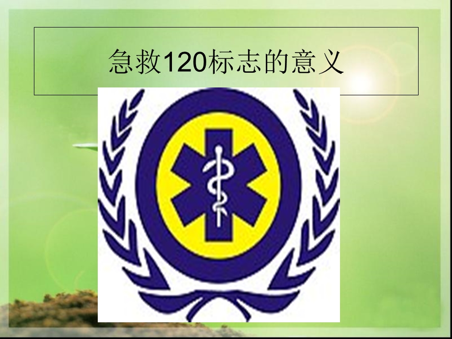 急救120标志的意义.ppt_第1页