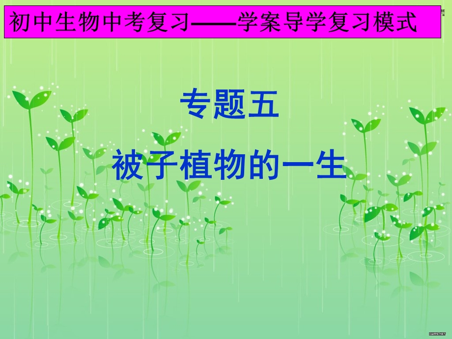 新人教版中考生物专题复习：被子植物的一生.ppt_第1页