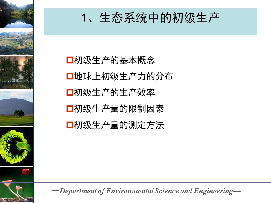 生态系统中的能量流动.ppt_第2页