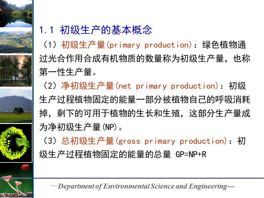 生态系统中的能量流动.ppt_第3页