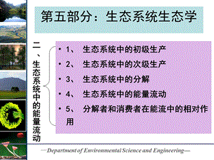 生态系统中的能量流动.ppt