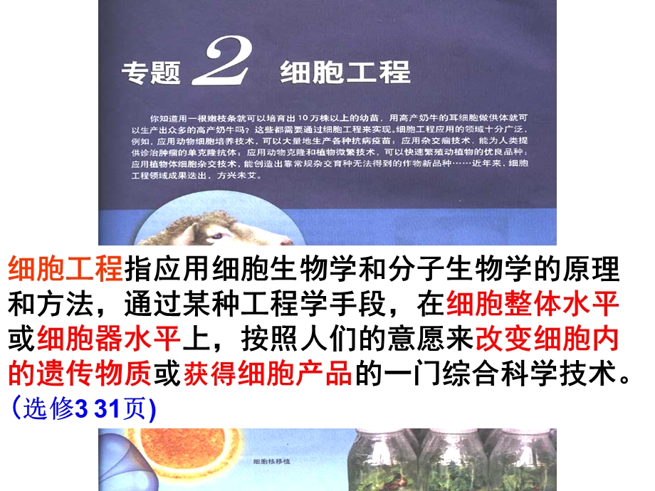 植物细胞工程植物细胞工程的基本技术.ppt_第1页