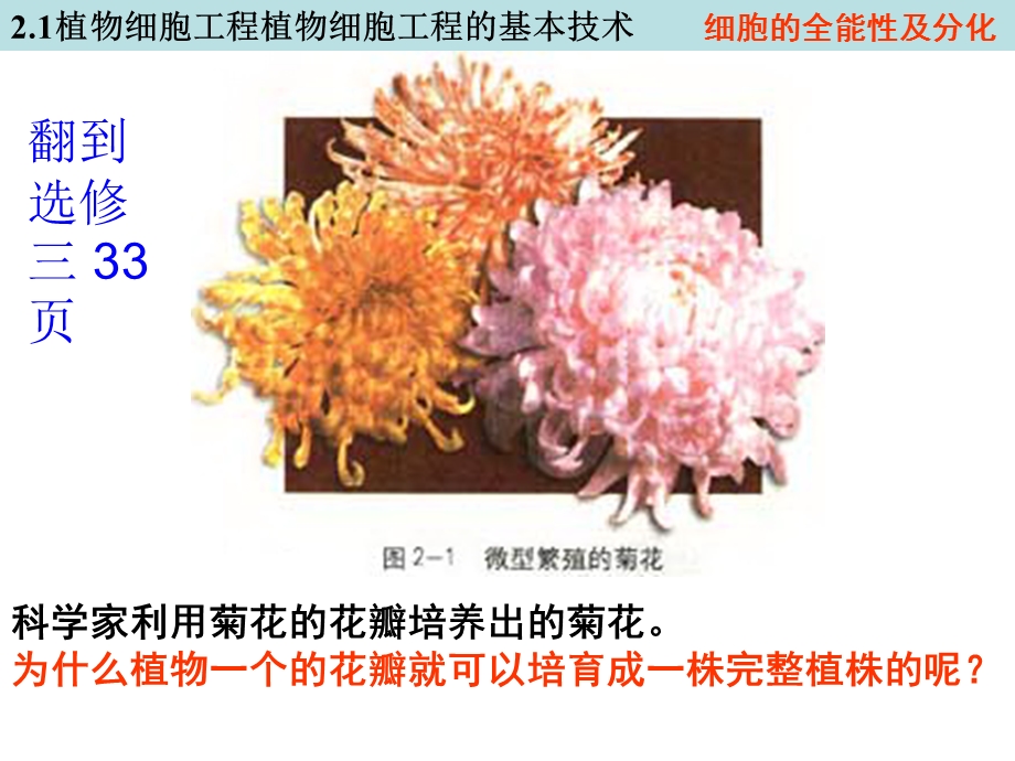 植物细胞工程植物细胞工程的基本技术.ppt_第2页