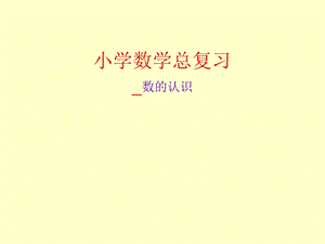 小学数学总复习.PPT.ppt