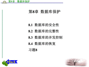 数据库技术及应用课件第8章数据库保护.ppt