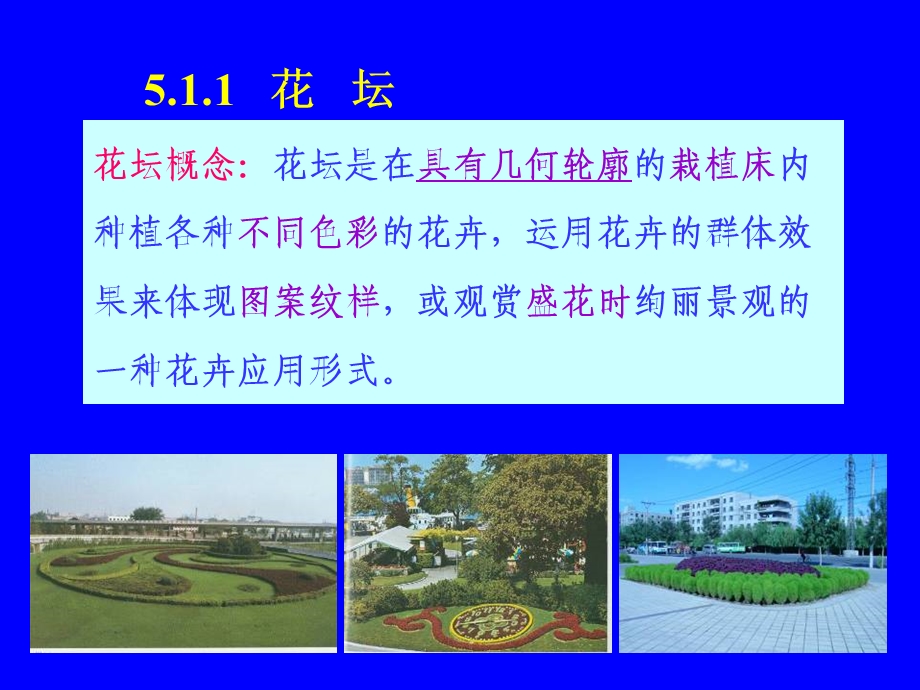 第五章花卉的应用.ppt_第3页