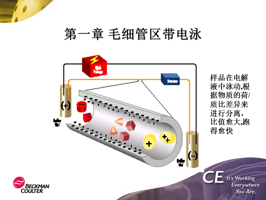 毛细管电泳原理及分析策略CE.ppt_第3页