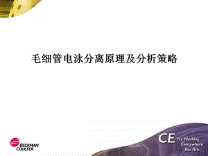 毛细管电泳原理及分析策略CE.ppt