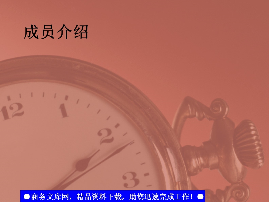 某公司员工职业发展规划.ppt_第2页