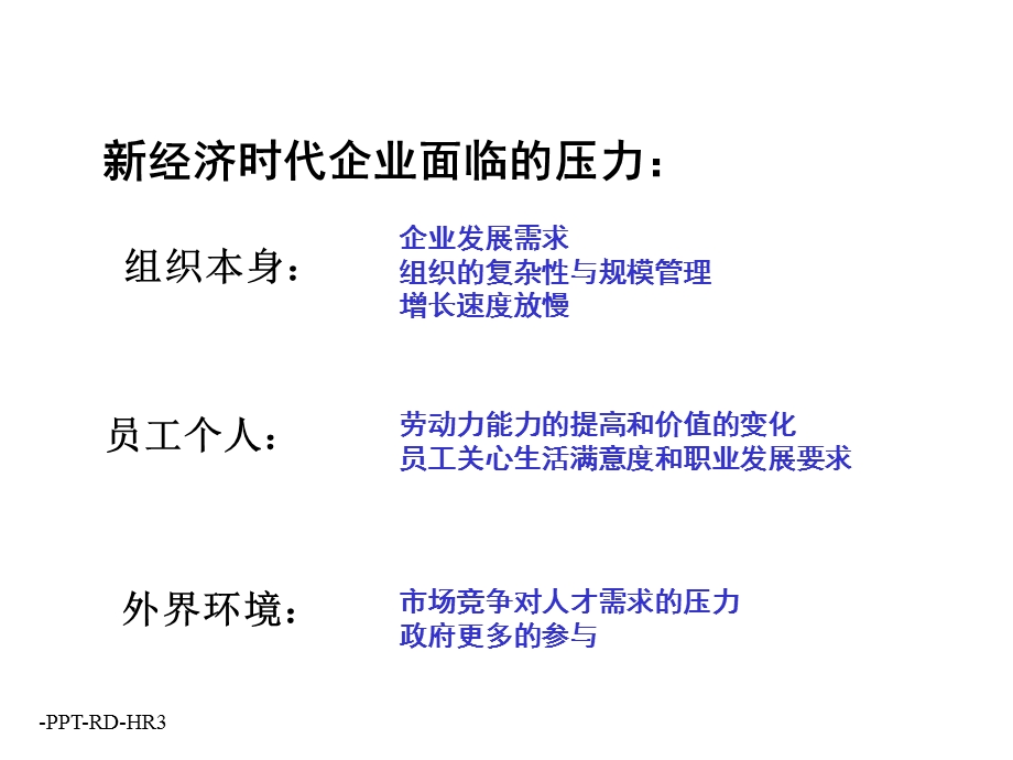 某公司e-hr解决方案.ppt_第2页