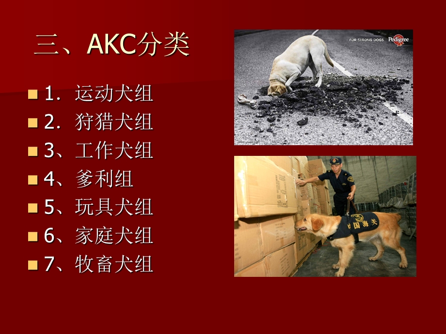 宠物犬的分类和品种介绍.ppt_第3页