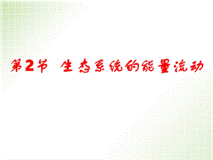 生态系统的能量流.ppt