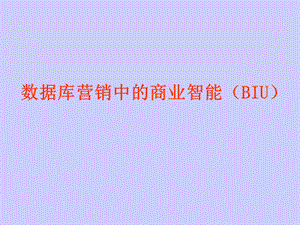 数据库营销中的BIU(杭州培训课件).ppt