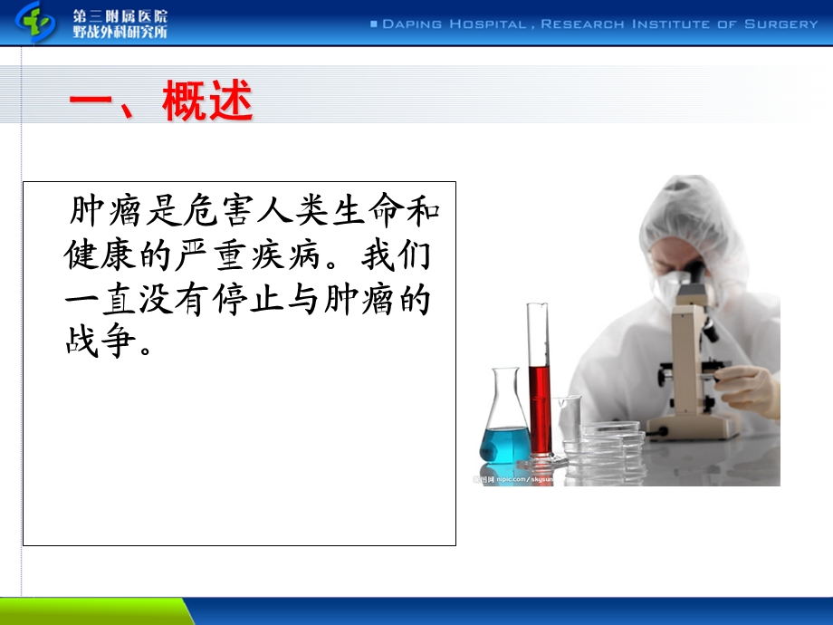 恶性肿瘤的营养治疗.ppt_第2页