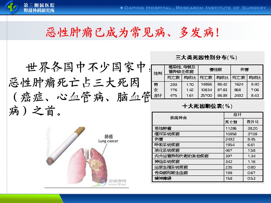 恶性肿瘤的营养治疗.ppt_第3页