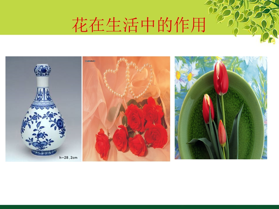 装饰图案之花卉装饰变形.ppt_第3页