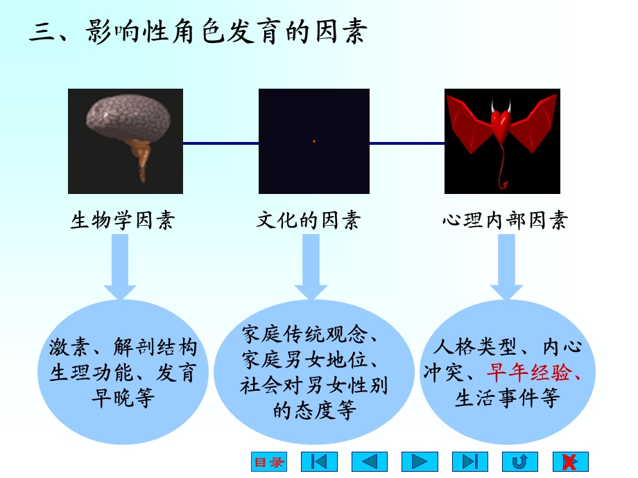 第二章性心理的发育.ppt_第3页