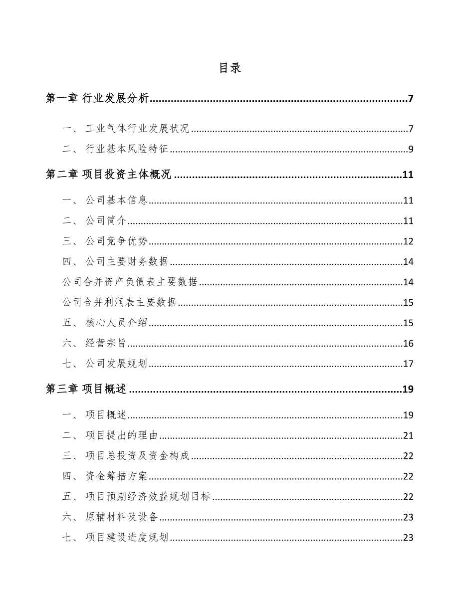 大理工业气体项目可行性研究报告.docx_第1页