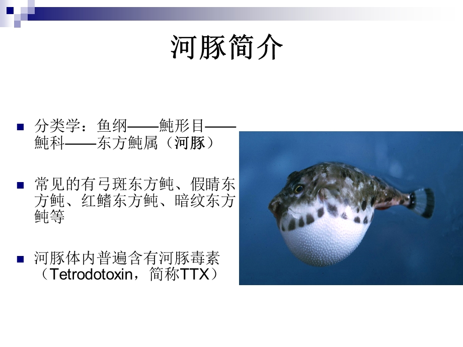 污染生态学与水环境监测黄陈玲.ppt_第2页