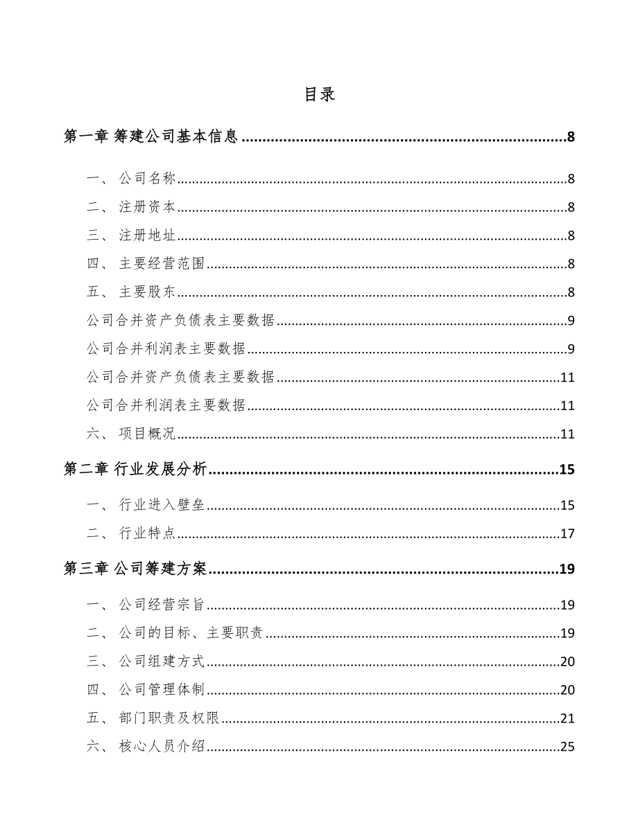 大理关于成立智能矿山设备公司可行性研究报告.docx_第2页