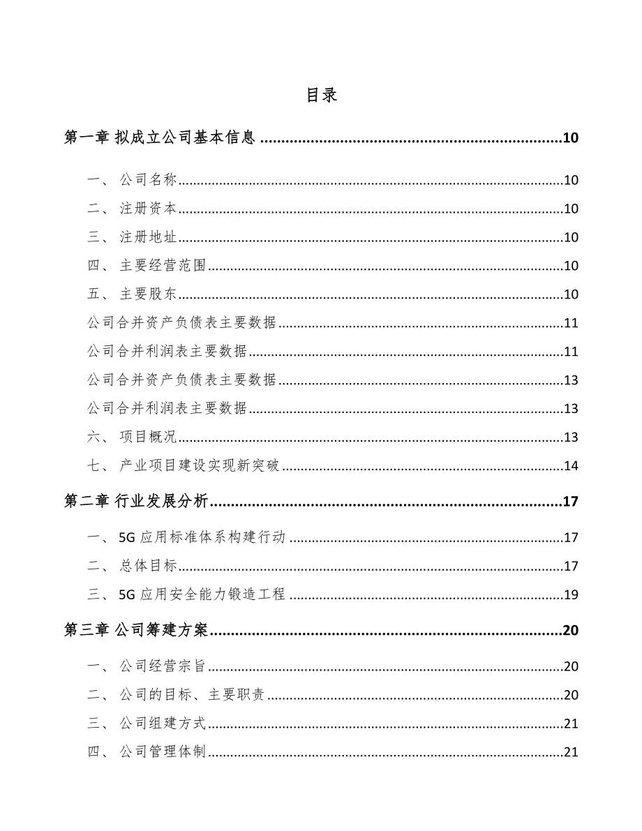 大庆关于成立5G公司可行性研究报告.docx_第2页