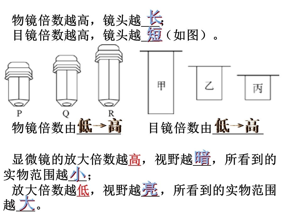 生物中考复习资料专题.图课件人教版.ppt_第3页