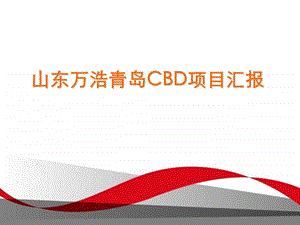 青岛CBD核心区城市综合体项目前期策划报告.ppt