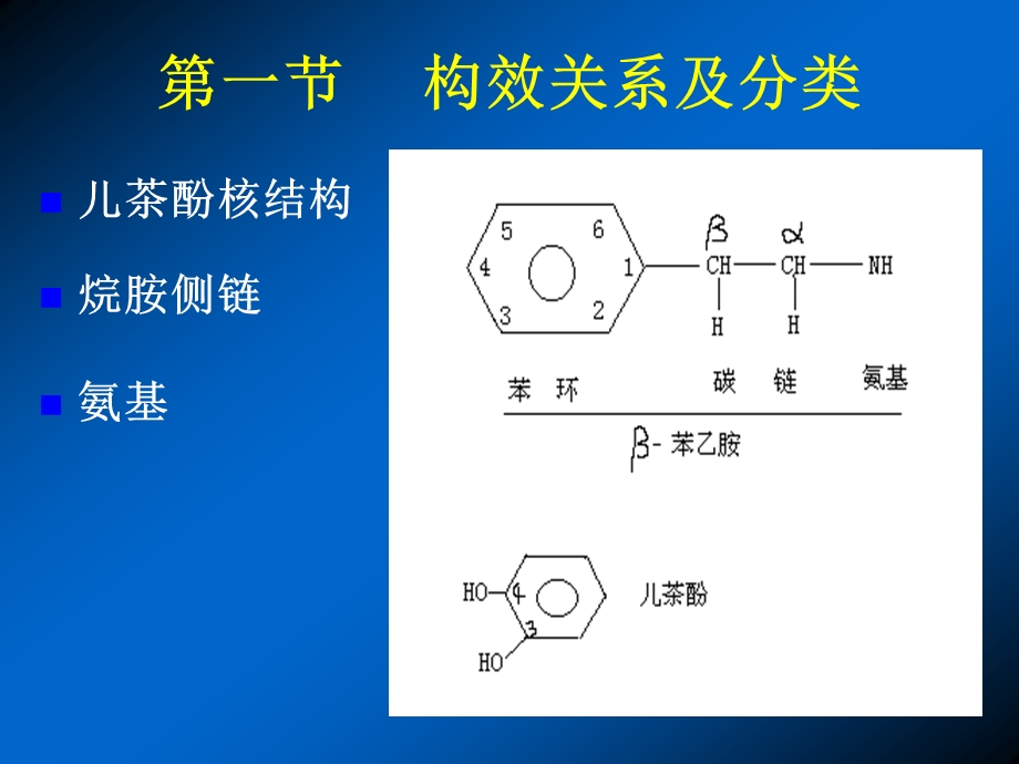 药理学课件8.肾上腺素受体激动药.ppt_第2页