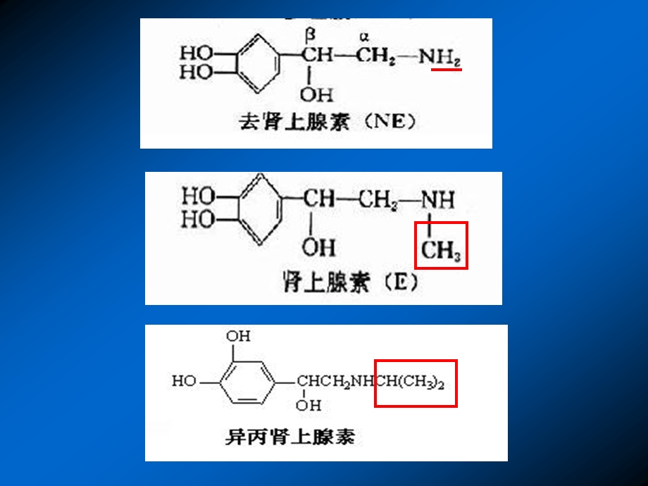 药理学课件8.肾上腺素受体激动药.ppt_第3页