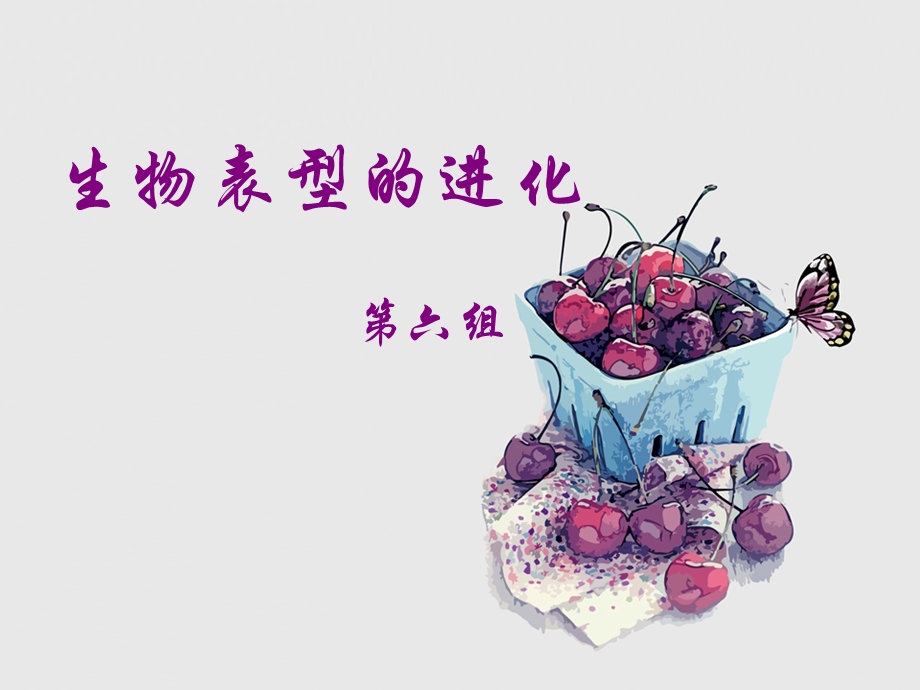 生物表型的进化.ppt_第1页