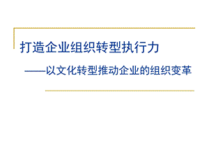 企业经营管理经典实用打造企业组织转型执行力.ppt