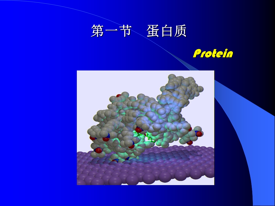 生物大分子的组成与结构.ppt_第2页