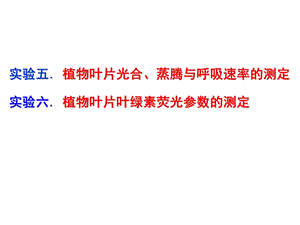 植物生理学实验-光合、呼吸速率、荧光参数测定.ppt