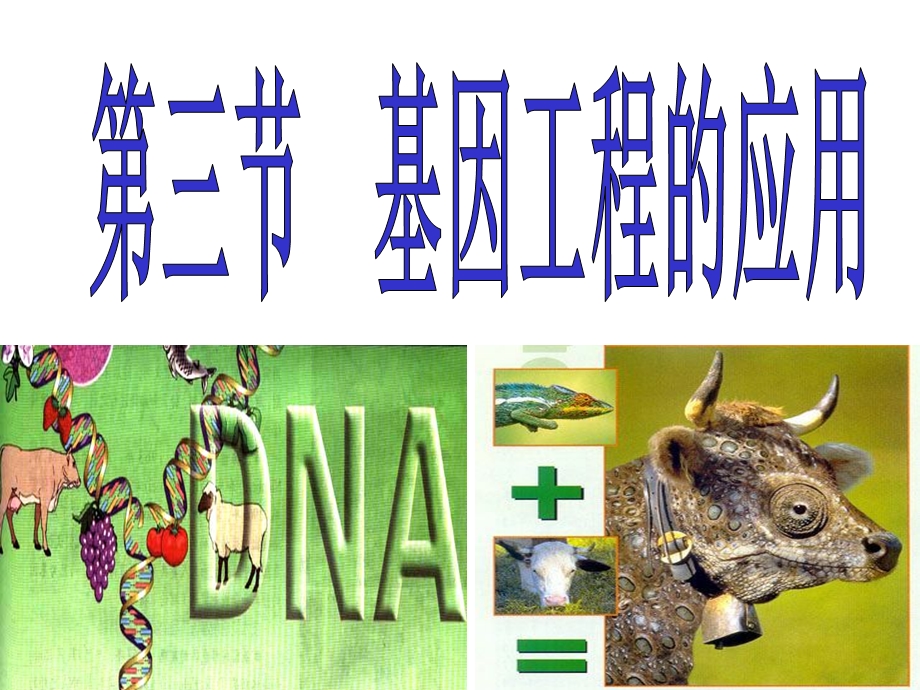 现代生物科技专题基因工程的应用(第一章第三节).ppt_第1页