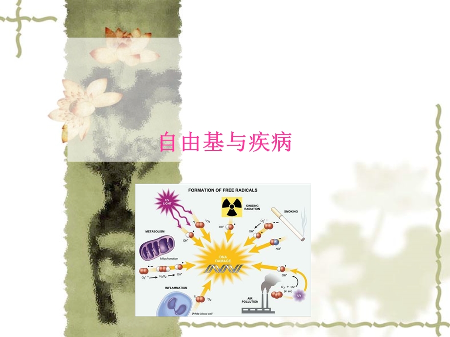 现代营养学之自由基疾病.ppt_第1页