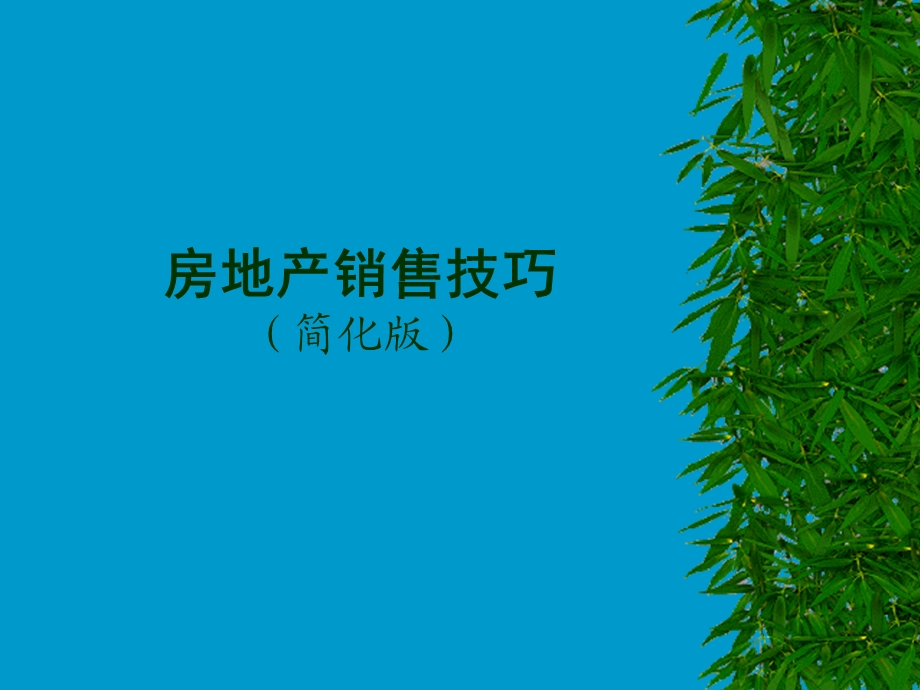 房地产销售技巧(简化版).ppt_第1页