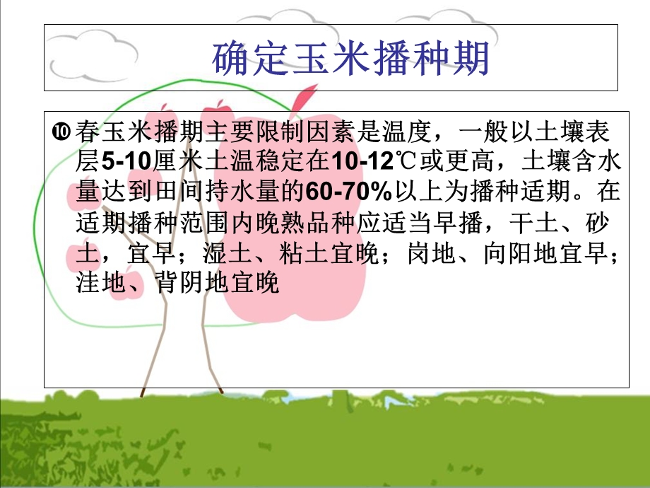 玉米的播种技术.ppt_第2页