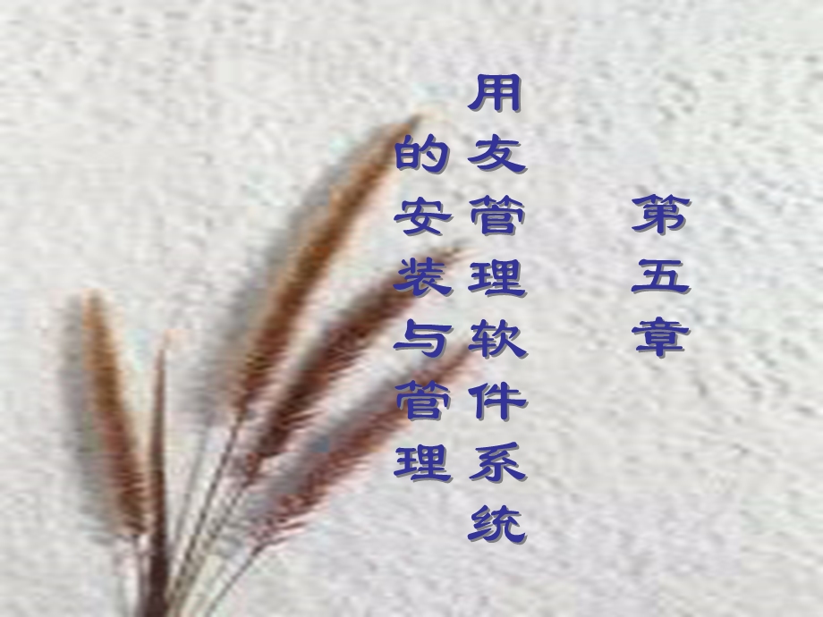 用友管理软件系统的安装与管理.ppt_第1页